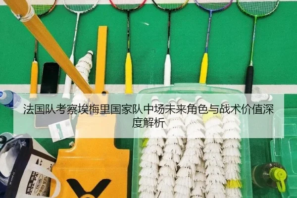 法国队考察埃梅里国家队中场未来角色与战术价值深度解析