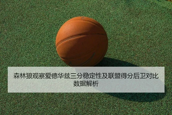 森林狼观察爱德华兹三分稳定性及联盟得分后卫对比数据解析
